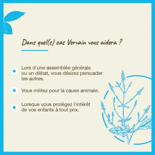 Fleurs de Bach Vervain n°31