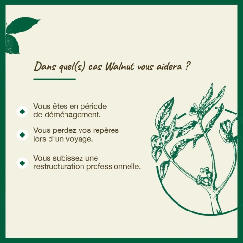 Fleurs de Bach Walnut n°33