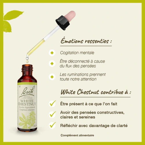 Fleurs de Bach White Chesnut n°35