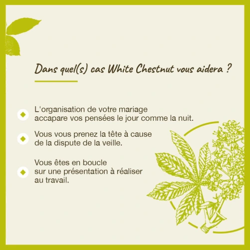 Fleurs de Bach White Chesnut n°35