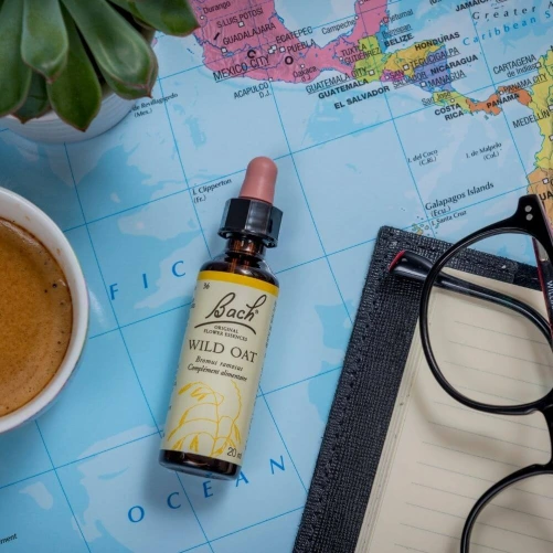 Fleurs de Bach Wild Oat n°36