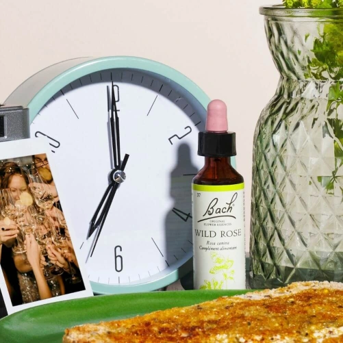 Fleurs de Bach Wild Rose n°37