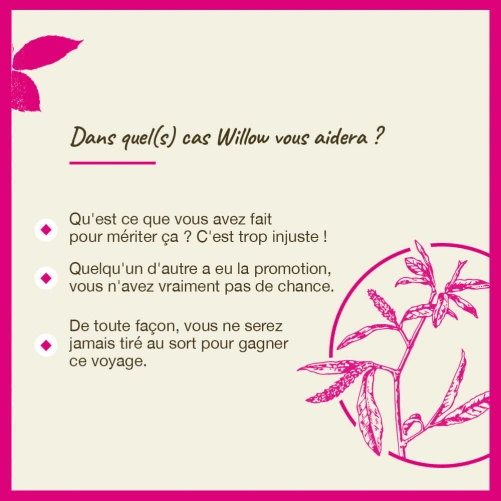 Fleurs de Bach Willow n°38