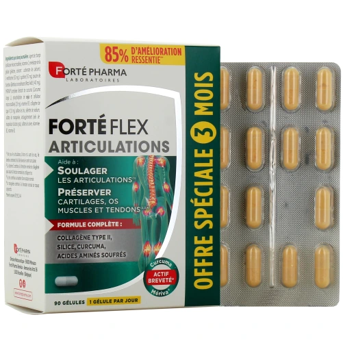 Forté Flex Articulations