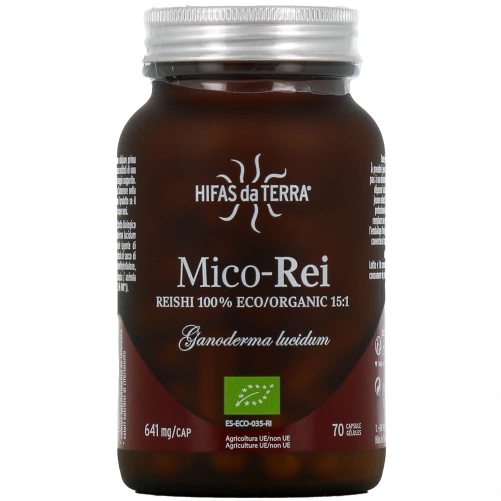 Hifas da Terra Mico-Rei