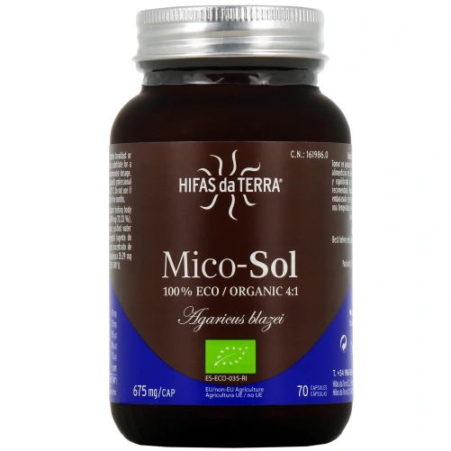 Hifas da Terra Mico-Sol