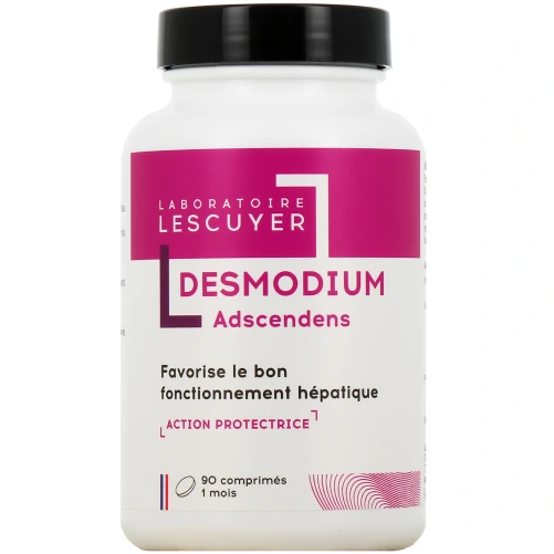 Lescuyer Desmodium Adscendens