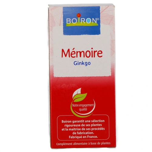 Mémoire Ginkgo