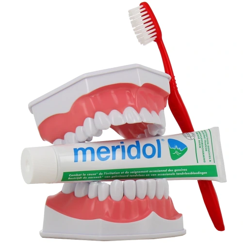 Meridol Dentifrice Protection Gencives et Haleine Fraîche