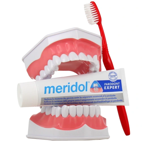 Meridol Parodont Expert Dentifrice