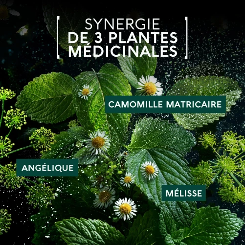 Naturactive Maux de Ventre Flash