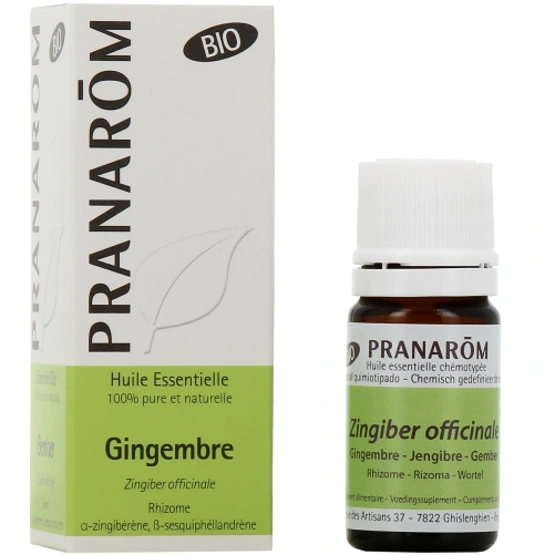 Pranarom huile essentielle gingembre