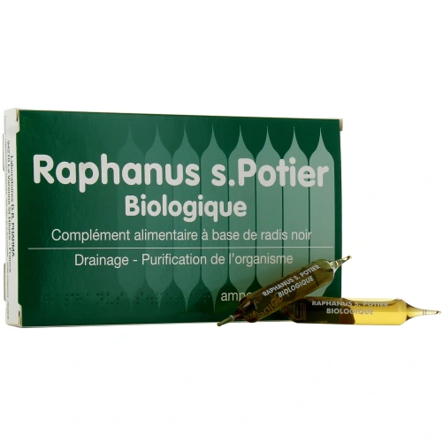 Raphanus S.Potier Biologique