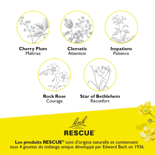RESCUE® Crème Fleur de Bach