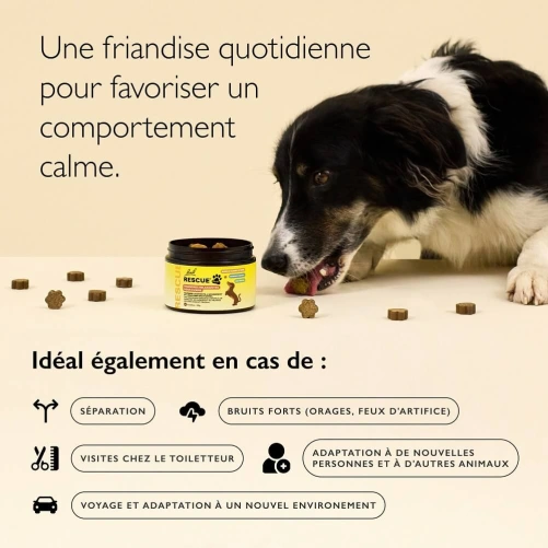 RESCUE® Pets Friandises pour Chiens