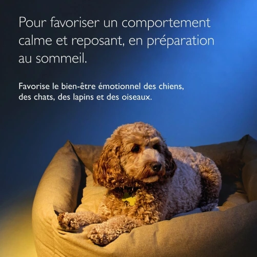 RESCUE® Pets Nuit Compte-gouttes