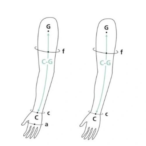 Sigvaris Advance Manchon de Compression Médicale Classe 3