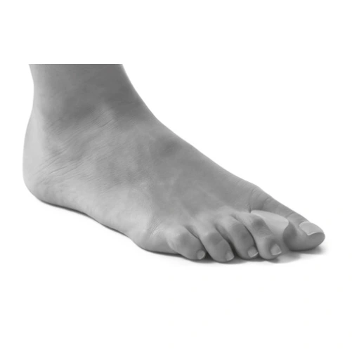 SofToes Ecarteur d'Orteil