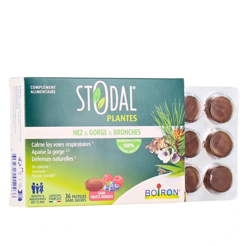 Stodal Plantes Nez Gorge Bronches