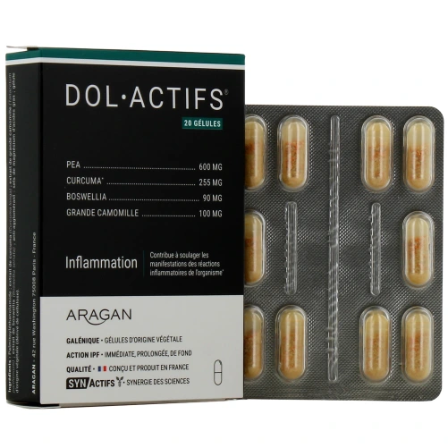 Synactifs Dol Actifs Inflammation