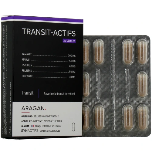 Synactifs Transit Actifs