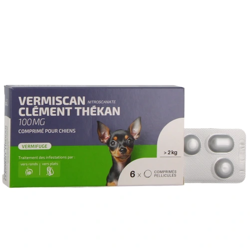 Vermiscan Vermifuge Chien