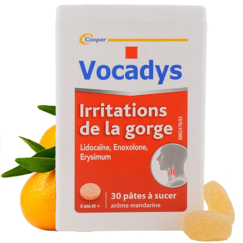 Vocadys Pâtes à Sucer Irritations de la Gorge