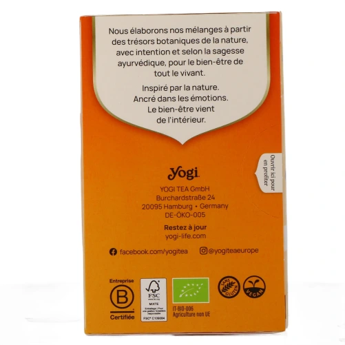 Yogi Tea Infusion à Froid