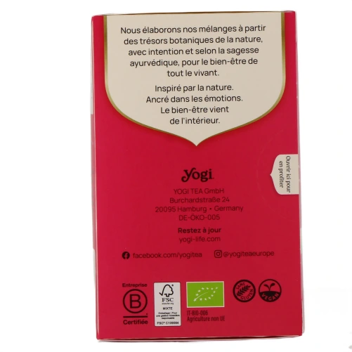 Yogi Tea Infusion à Froid