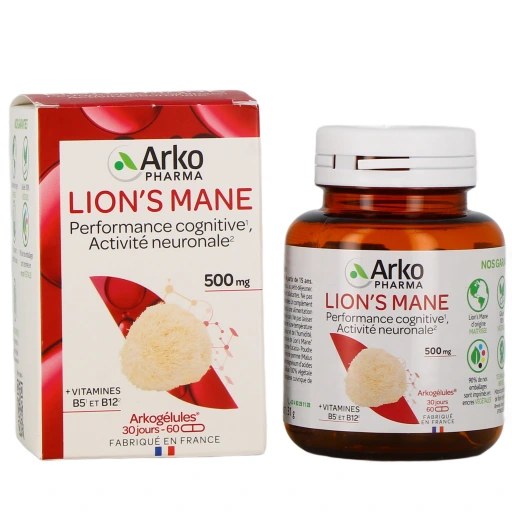 Arkogélules Lion's Mane