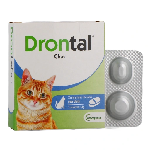 Drontal Chat