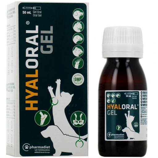 Hyaloral Gel