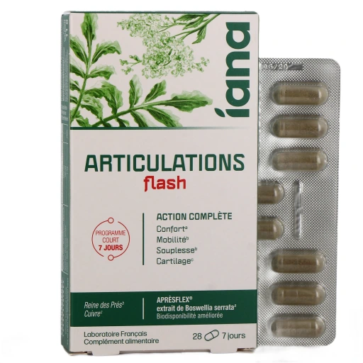 Iana Articulations Flash
