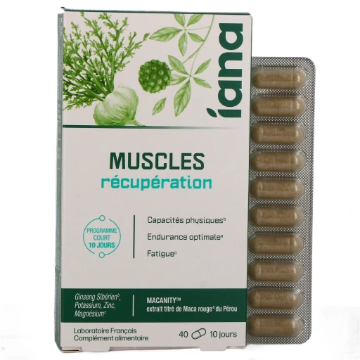 Iana Muscles Récupération