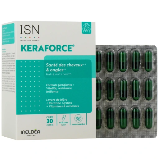 Ineldea Keraforce