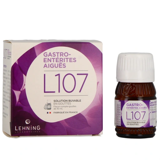 Lehning L107