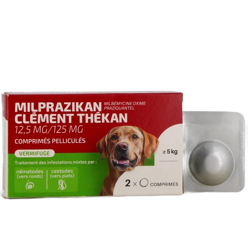 Milprazikan Vermifuge Chien