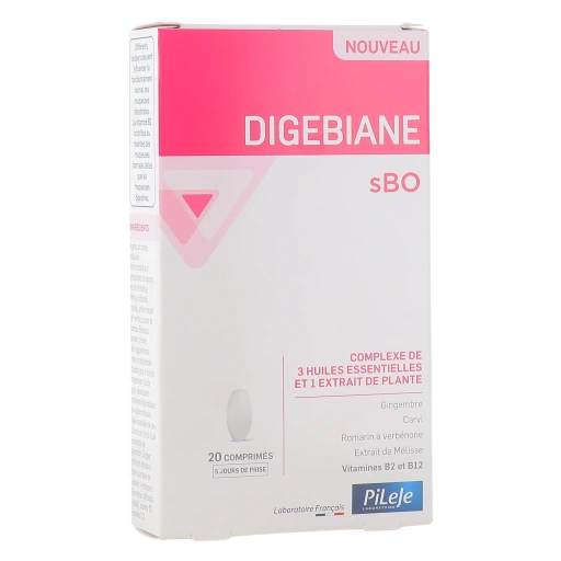 Pileje Digebiane sBO