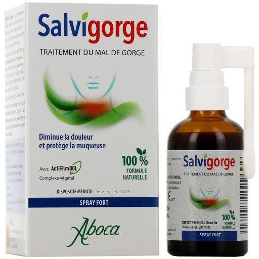 Salvigorge