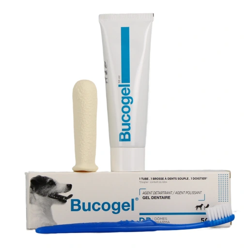 TVM Bucogel Gel Dentaire