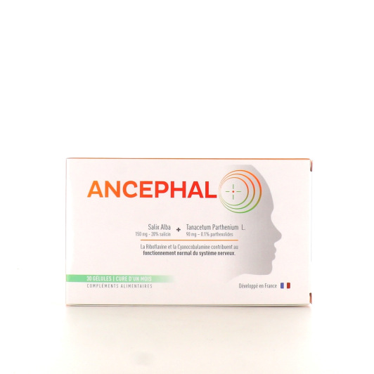 Ancephal