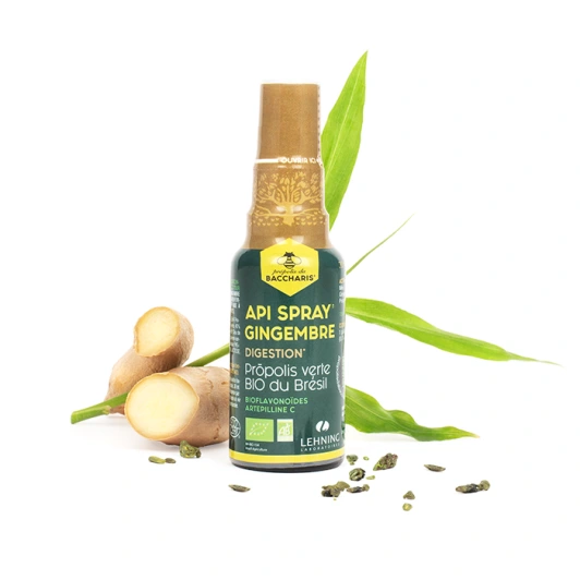 Api Spray Gingembre Digestion Propolis Verte BIO