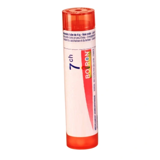 Boiron Ethyl Sulfur Dichloratum granules