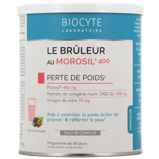 Bruleur au Morosil Biocyte