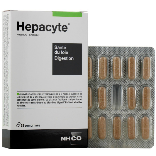 Hepacyte Digestion