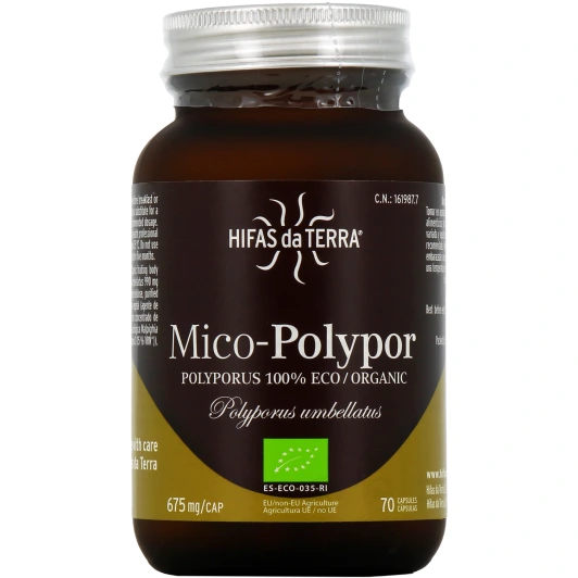 Hifas da Terra Mico-Polypor
