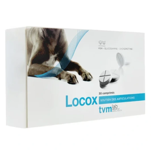 Locox Soutien des Articulations Chats et Chiens