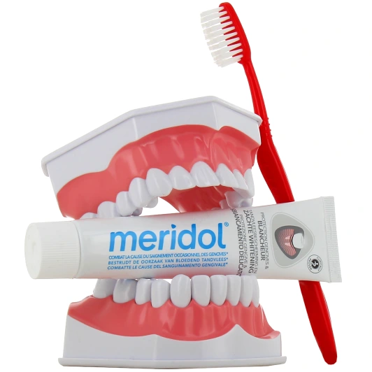 Meridol Dentifrice Blancheur Protection Gencives