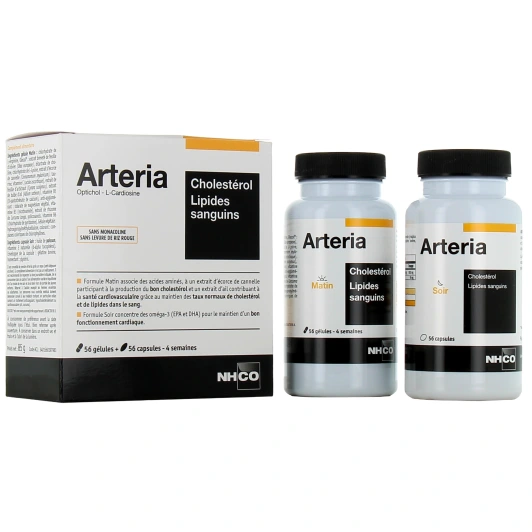 Arteria Cholestérol