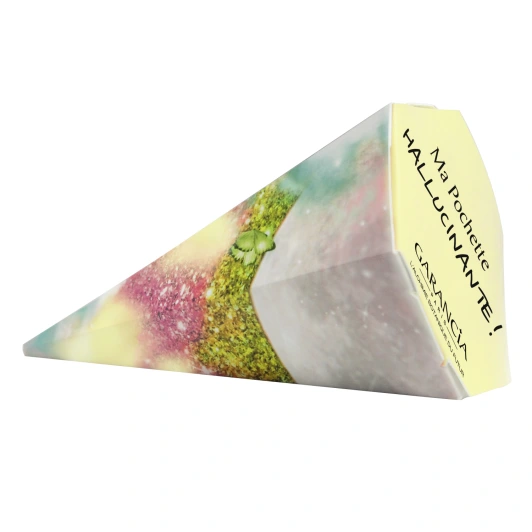 Pochette hallucinante Garancia